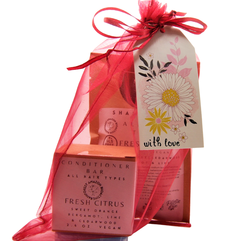 Shampoo & Conditioner Bars Gift Set