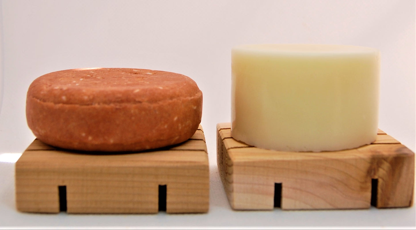 Fresh Citrus Shampoo Bar