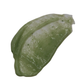 Scalp Scrub - Rainforest Pataua Regrowth