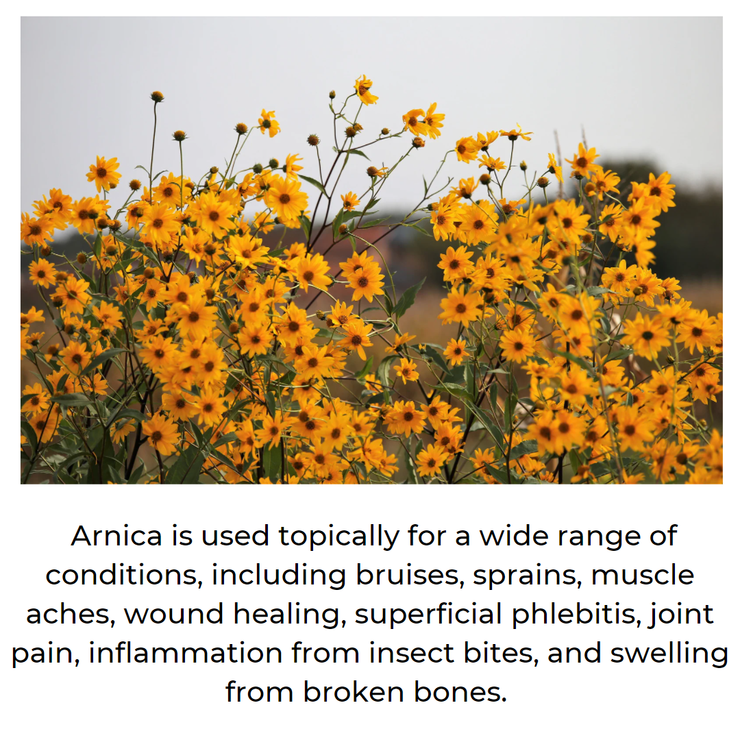 Arnica Balm -  Muscle & Joint Relief